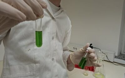 Zlato priznanje mladih raziskovalcev